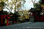 元日詣