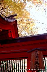 瀧尾神社と本圀寺の龍