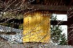 瀧尾神社と本圀寺の龍