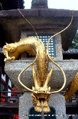 瀧尾神社と本圀寺の龍