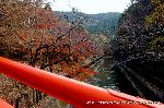 元日詣 : 山科疎水にかかる参道の橋