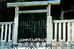 平清盛　縁の地をゆく　そのニ　白河と鳥羽 : 鳥羽離宮　安楽寿院