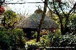 平清盛　縁の地をゆく その六　八坂神社 : 母屋、皆如庵（茶室）、西行堂からなる西行庵