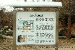 平清盛　縁の地をゆくその九　西八条殿跡