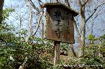 平清盛　縁の地をゆく その十　祇王寺 : 平家物語史跡「祇王寺」