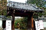 小野小町ゆかりの随心院の観梅会