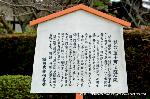 小野小町ゆかりの随心院の観梅会 : 謡曲「通小町」