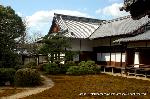 小野小町ゆかりの随心院の観梅会