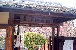 小野小町ゆかりの随心院の観梅会