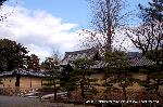 小野小町ゆかりの随心院の観梅会 : 薬医門