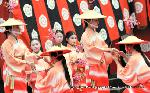 小野小町ゆかりの随心院の観梅会