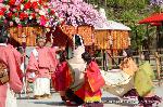 洛中洛外京桜図　一見さんの桜に通の桜　編　その二 : 葵祭の日　風流桜の前に風流傘が並ぶ
