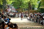 菖蒲の節句発祥の地　藤森神社