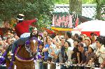 菖蒲の節句発祥の地　藤森神社