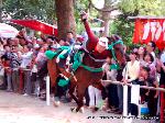 菖蒲の節句発祥の地　藤森神社