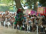 菖蒲の節句発祥の地　藤森神社