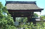 どこで愛でるか花菖蒲　その1