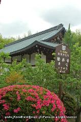 どこで愛でるか花菖蒲　その2