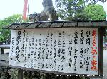 京の紫陽花めぐり　藤森神社