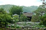 京の紫陽花めぐり　梅宮大社編 : 咲耶池