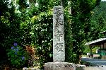 京の紫陽花めぐり　善峰寺編