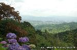 京の紫陽花めぐり　善峰寺編