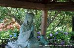 京の紫陽花めぐり　善峰寺編
