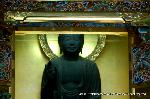 京の紫陽花めぐり　善峰寺編
