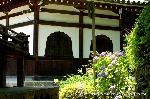 京の紫陽花めぐり　善峰寺編