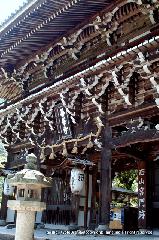 京の紫陽花めぐり　善峰寺編