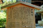京の紫陽花めぐり　善峰寺編