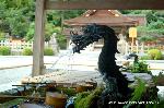 出雲大神宮と出雲大社