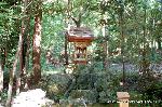 出雲大神宮と出雲大社