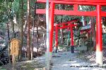 出雲大神宮と出雲大社
