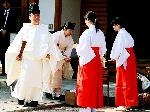 晴明祭の憂鬱 : 山口琢也宮司