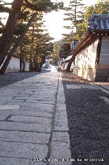 満月に隠れ茶室を見た : 東林院・涅槃堂・開山堂・玉鳳院・東海庵・法堂を結ぶ石畳