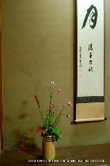 満月に隠れ茶室を見た : 茶席の床