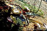 粟田祭にみる当家飾の剣鉾 : 松鉾の剣先・錺（かざり）・額・受け金
