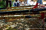 粟田祭にみる当家飾の剣鉾