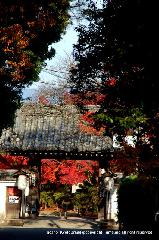 青蓮院大日堂　秋の将軍塚庭園とは