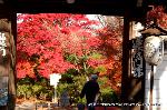 青蓮院大日堂　秋の将軍塚庭園とは
