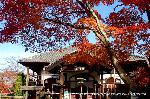 青蓮院大日堂　秋の将軍塚庭園とは
