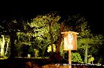 秋の物見遊山 / 紅葉見・観楓