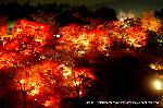 近場で紅葉狩