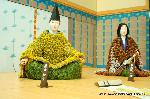 京の菊　嵯峨菊