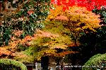 泉涌寺　紅葉の歩きかた