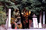 泉涌寺　紅葉の歩きかた