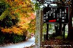 泉涌寺　紅葉の歩きかた : ゆな荒神を案内する石碑と案内板