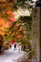 泉涌寺　紅葉の歩きかた