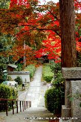 泉涌寺　紅葉の歩きかた : ゆな荒神より見おろしすと・・・